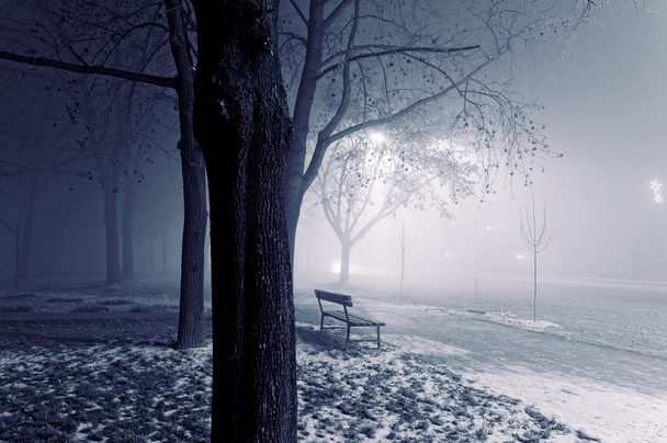 Foggy night - Photo, Image