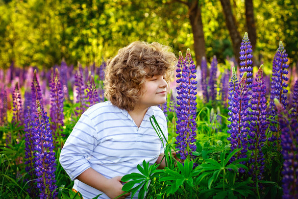 A handsome European boy of six in a hat in a field of blooming lupines. Portrait of a beautiful child in nature. - Foto, afbeelding