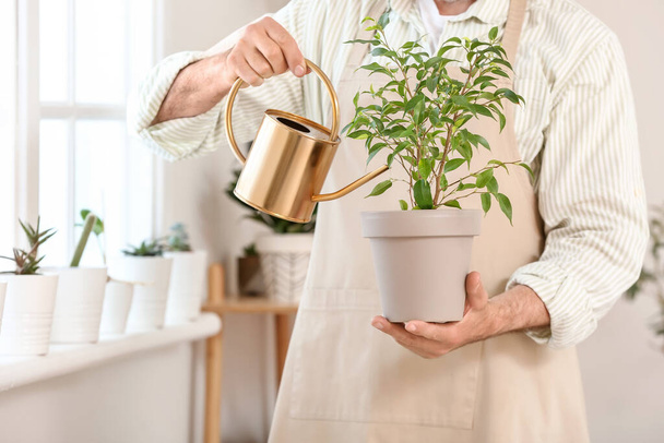 Homme âgé arrosant des plantes à la maison
 - Photo, image
