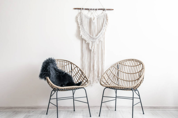 Stylish armchairs near light wall - Fotografie, Obrázek