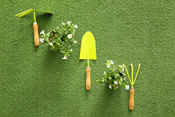 Supplies for gardening and plants on color background - Fotoğraf, Görsel