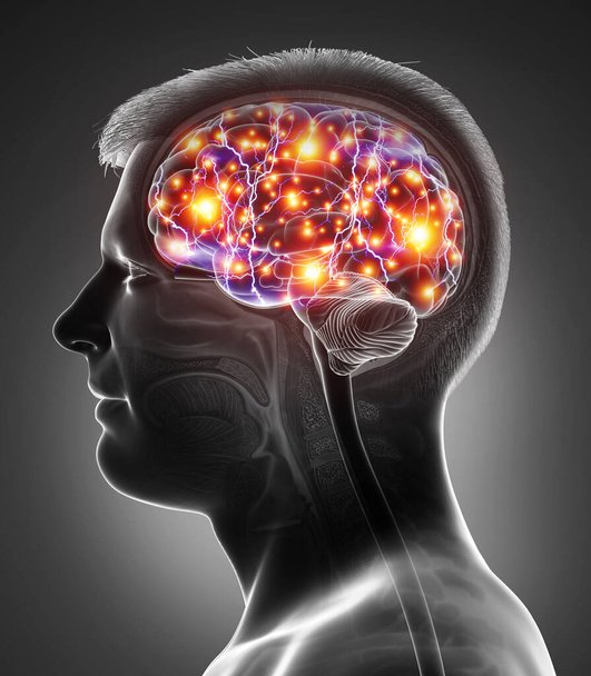 3D üretilmiş, tıbben doğru, aktif bir erkek beyni. - Fotoğraf, Görsel