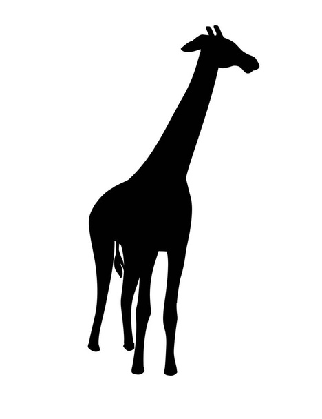 Preto silhueta madura girafa animal africano com pescoço longo desenho animado animal design plana vetor ilustração isolado no fundo branco
. - Vetor, Imagem