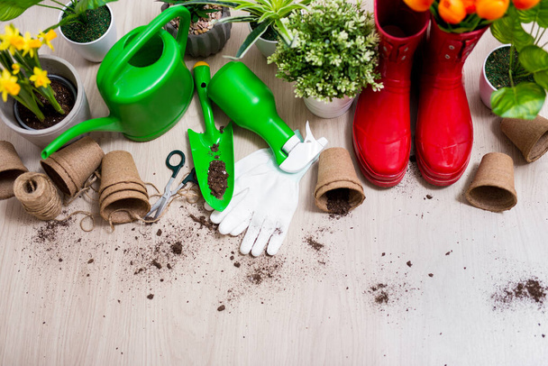 top view of gardening tools, potted plants and spring flowers on wooden table background - Φωτογραφία, εικόνα