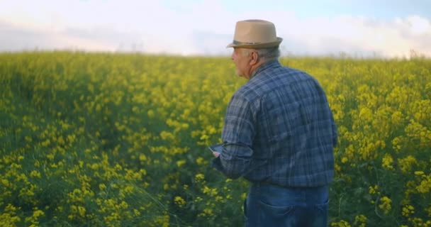 帽子をかぶった年配の男性農家が日没時に立ち、タブレットコンピュータで遠くを見ています。成功した労働日の概念。黄色の花のフィールド内のトラクタードライバー. - 映像、動画