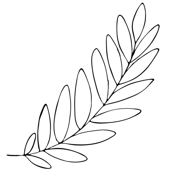 autumn rowan branch with leaves, freehand drawing, vector element in doodle style, coloring book, black outline - Vektor, Bild
