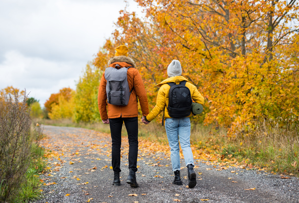 back view of couple hikers with backpacks walking in autumn forest - Foto, afbeelding