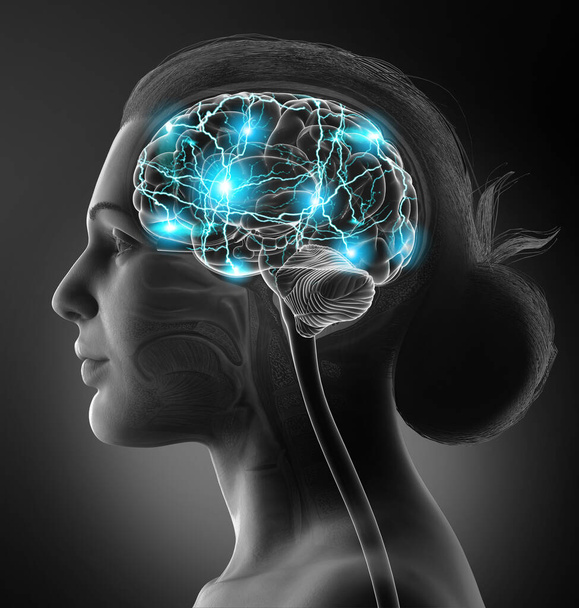 3d renderowana, medycznie dokładna ilustracja czynnego mózgu kobiety - Zdjęcie, obraz