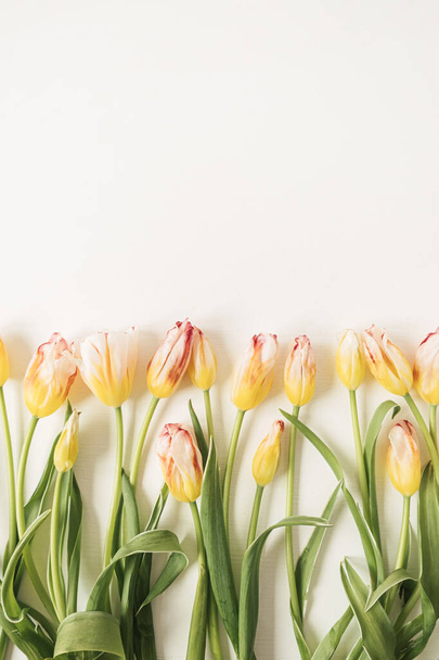 Flowers composition with many yellow tulips on white background. Flat lay, top view festive holiday celebration hero header - Foto, afbeelding
