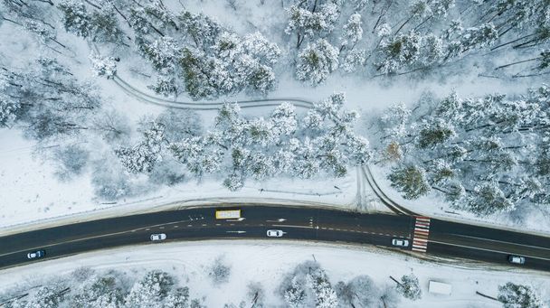 Aerial view of evergreen Christmass pine forest from above. bird's eye, drone shot. amazing natural winter background - Foto, imagen
