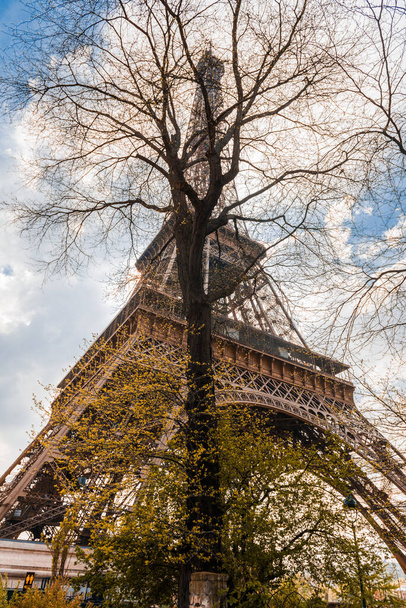Eiffel-torony ágak és arveres között - Fotó, kép