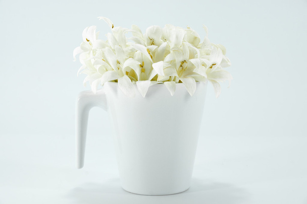 Fragrant white flowers in a glass - Photo, Image