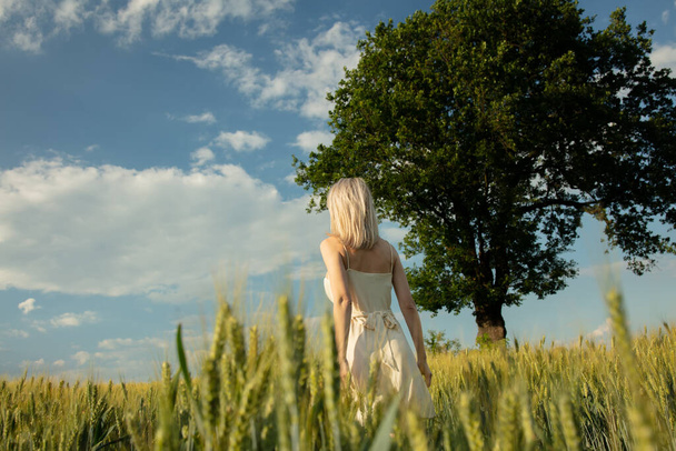 Hermosa chica rubia en el campo de trigo en la hora de la puesta del sol
  - Foto, imagen