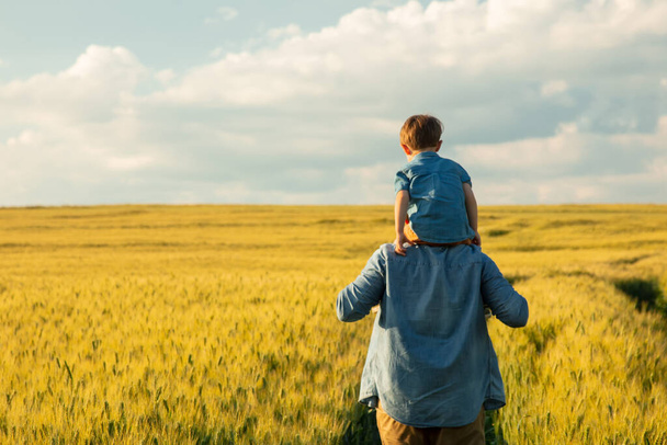 pai e filho no campo de trigo, criança sentada sobre os ombros de seus pais
 - Foto, Imagem
