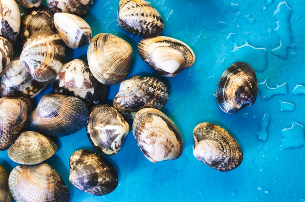 Купка закритих свіжих сирих молюсків і синій мокрий фон
 - Фото, зображення