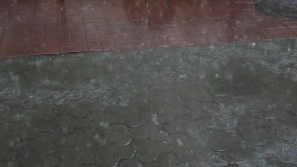 Rain in the city. Rain drops fall on the sidewalk. - Video, Çekim