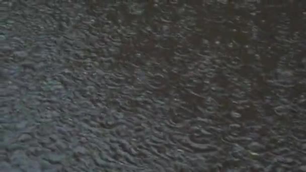 Rain in the city. Rain drops fall on the sidewalk. - Footage, Video