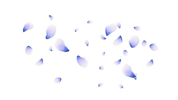 Petals of flowers. Blue flying petals. Flower design. Spring pattern. Delicate style. - Vector, Image
