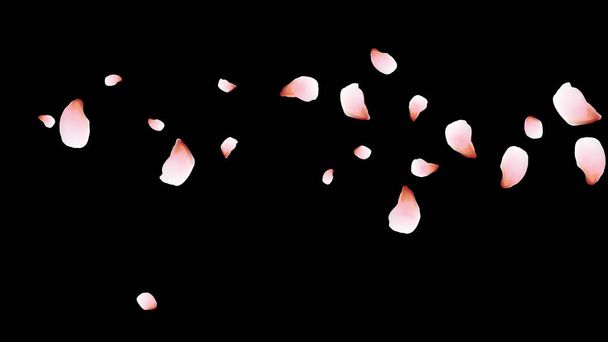 Cherry petals. Pink flying petals. Flower design.Spring pattern. Delicate style. - Vector, Image