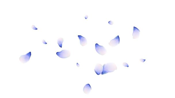 Petals of flowers. Blue flying petals. Flower design. Spring pattern. Delicate style. - Vector, Image