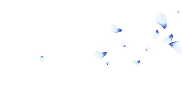 Bloemblaadjes. Blauwe vliegende bloemblaadjes. Bloemenontwerp. Voorjaarspatroon. Delicate stijl. - Vector, afbeelding