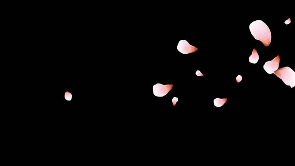 Cseresznye szirmok. Rózsaszín repülő szirmok. Virágtervezés. - Vektor, kép