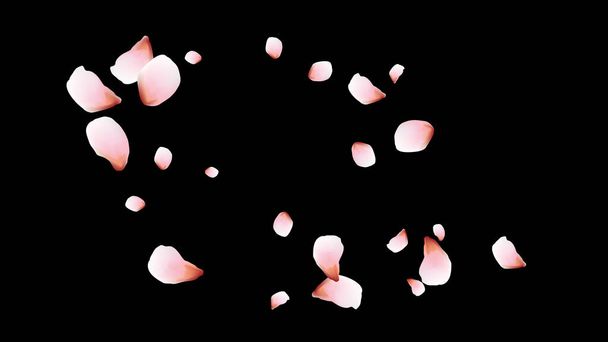 Kersenblaadjes. Roze vliegende bloemblaadjes. Bloemen ontwerp. - Vector, afbeelding
