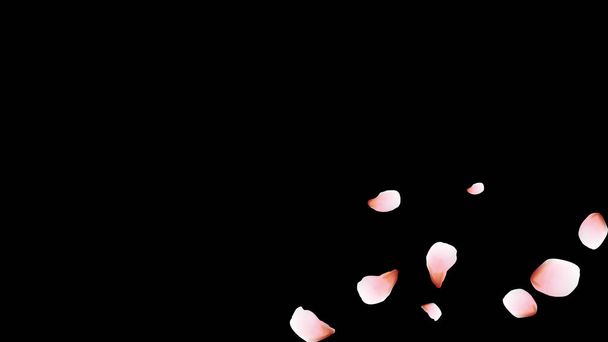 桜の花びら。ピンクの空飛ぶ花弁。花のデザイン. - ベクター画像