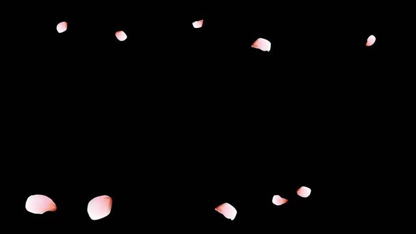 Kersenblaadjes. Roze vliegende bloemblaadjes. Bloemen ontwerp. - Vector, afbeelding