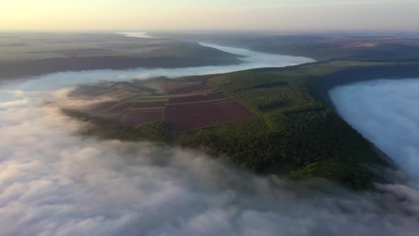 Luftaufnahme von Feldern auf einem Hügel über den Wolken, Luftaufnahme von Nebel über dem Fluss bei Sonnenaufgang, dichter Nebel über dem Fluss, Nebel über dem Dnjestr, - Filmmaterial, Video