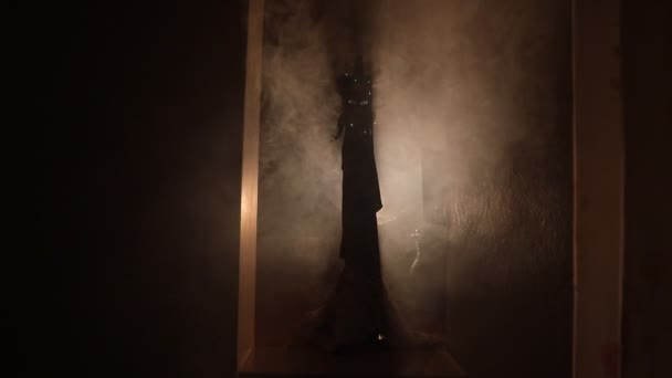 Silhouette di una figura ombra sconosciuta su una porta attraverso una porta a vetri chiusa. Spooky ragazza silhouette di notte con il fumo in background - Filmati, video