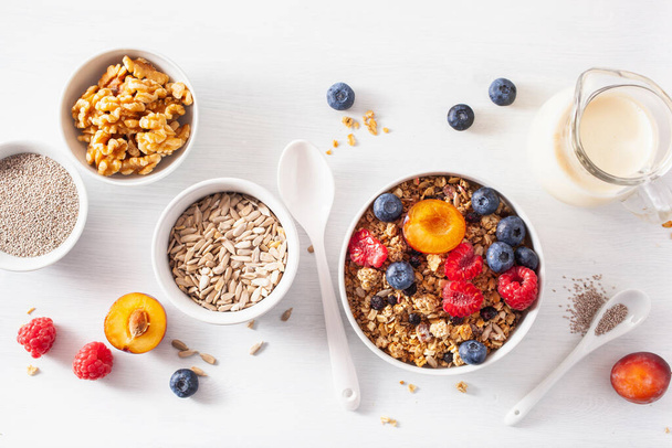 healthy granola for breakfast with berry fruit nut, plant milk - Foto, Bild