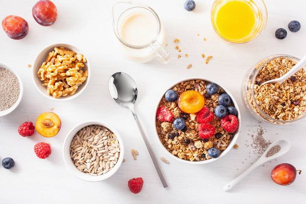 здоровий гранола на сніданок з ягідним фруктовим горіхом, рослинне молоко
 - Фото, зображення