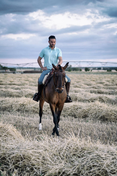Jinete a caballo caminando visto desde el frente en el campo en un rastrojo de paja. Montar a caballo
. - Foto, imagen