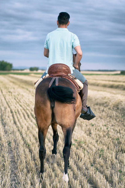 Jinete a caballo caminando visto desde atrás, en el campo sobre un rastrojo de paja. Montar a caballo
. - Foto, Imagen