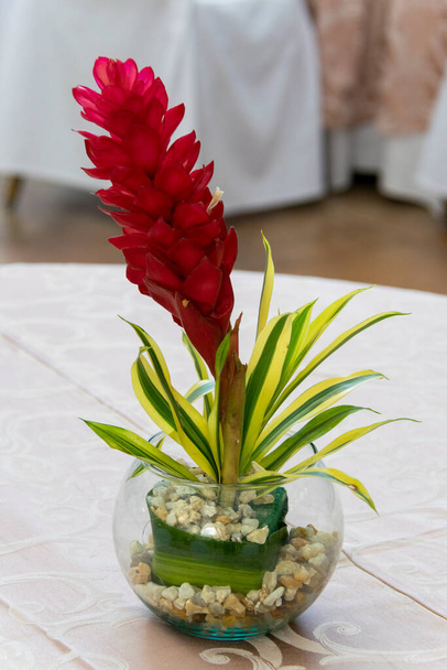 Τροπική σύνθεση λουλουδιών σε ξενοδοχείο της Λατινικής Αμερικής. Γουατεμάλα. - Φωτογραφία, εικόνα