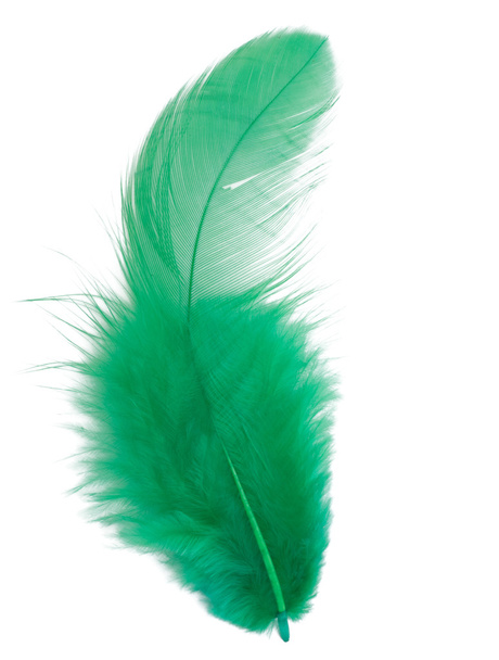 Green feather - Foto, afbeelding