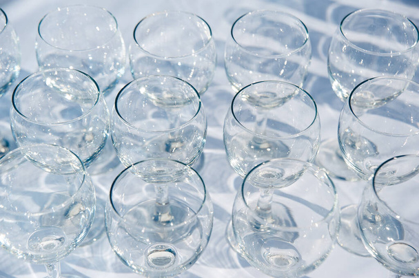 pattern of many empty wine glass circles. catering. welcome drink service - Foto, Imagem
