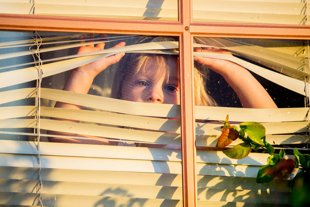 Child, toddler boy, looking through window outside - 写真・画像