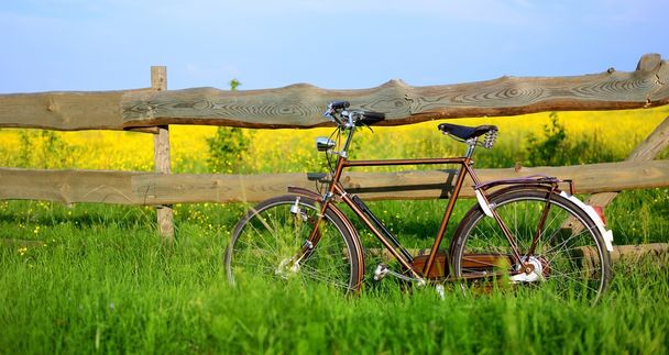 Old vintage brown bicycle near the fence of a flower field. - Foto, Imagen