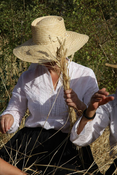 Peasant preparing some bunches of wheat - Photo, Image