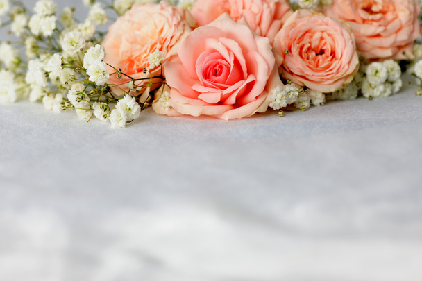 Beautiful roses - Photo, Image