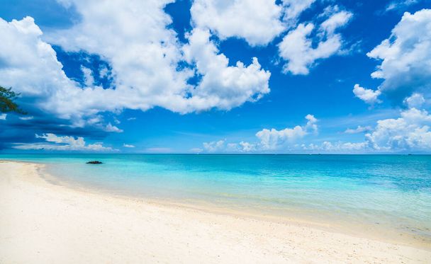 Tropical scenery with amazing beaches of Mauritius island - Foto, afbeelding