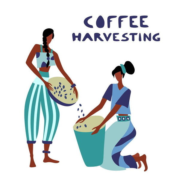 Γυναίκα αγνώστων στοιχείων αγρότης καφέ συγκομιδή καφέ - Διάνυσμα, εικόνα
