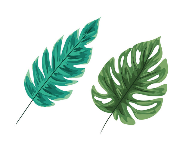 2つの緑の葉ベクトルのデザイン - ベクター画像
