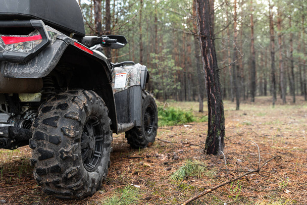 ATV awd quadbike motorcycle back pov view near tree in coniferous pine foggy forest with beautiful nature landscape morning mist. Offroad travel adventure trip expedition. Extreme recreation activity - Photo, Image