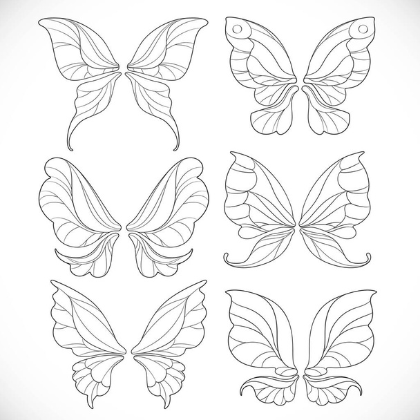 Conjunto de contornos de alas de hadas 1 aislado sobre un fondo blanco
 - Vector, Imagen