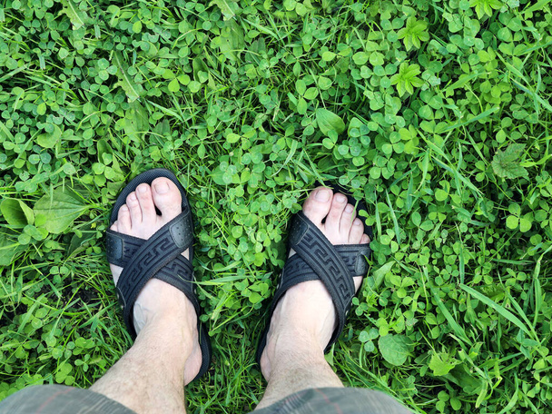 Nogi w sandałach stoją na zielonej trawie nieskoszonej łąki z koniczyną, z przestrzenią do kopiowania - Zdjęcie, obraz