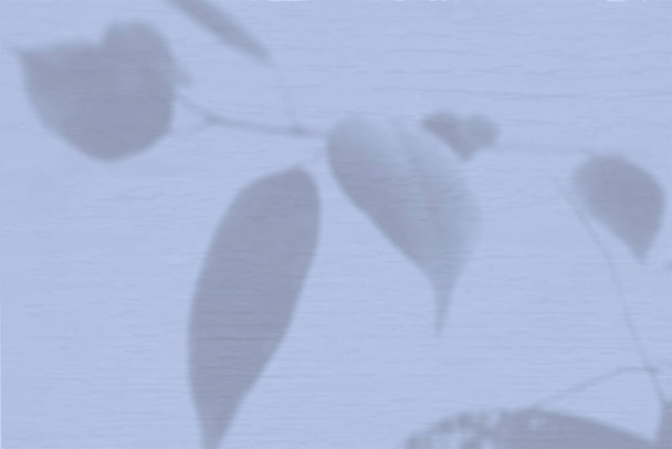 Θερινό φόντο των σκιών των φυτών. Η σκιά ενός εξωτικού φυτού σε έναν μπλε τοίχο. Κοπάδι. - Φωτογραφία, εικόνα
