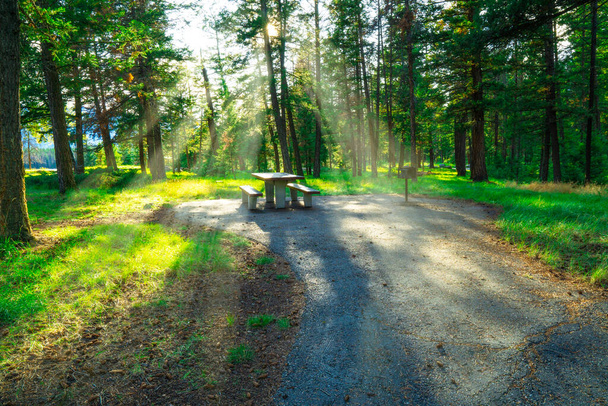 Table de pique-nique au parc forestier pour camping de VR dans les rayons du soleil - Photo, image